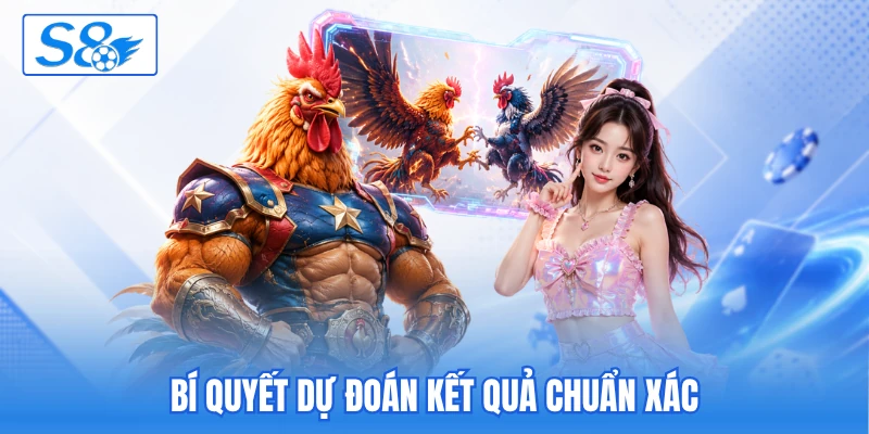 Xem đá gà tại S8 trực tuyến phát sóng trận đấu kịch tính - hesiju