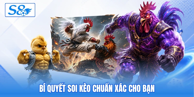 Đá Gà Campuchia 2026 - Cập Nhật Màn So Tài Kịch Tính Cao - hesiju
