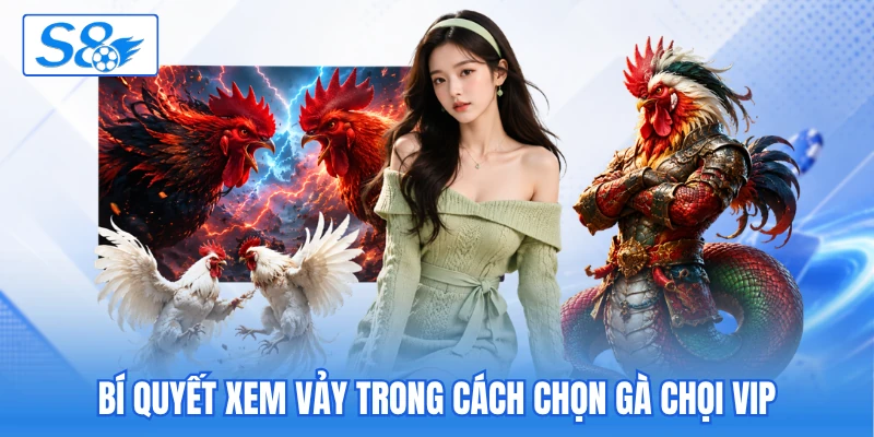 Cách Chọn Gà Chọi Vip Dựa Theo 9 Tiêu Chuẩn Quan Trọng - hesiju Cách Chọn Gà Chọi Vip Dựa Theo 9 Tiêu Chuẩn Quan Trọng - hesiju