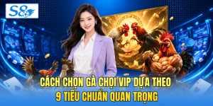 Đá Gà S8 - Khám Phá Tính Năng Phát Sóng Trực Tiếp Mượt - hesiju