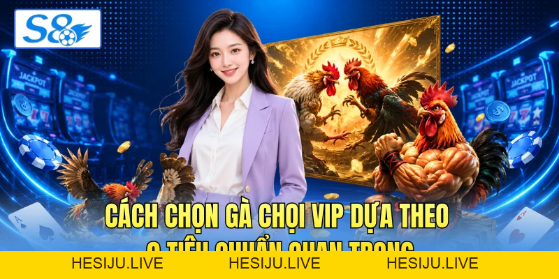 Cách Chọn Gà Chọi Vip Dựa Theo 9 Tiêu Chuẩn Quan Trọng - hesiju