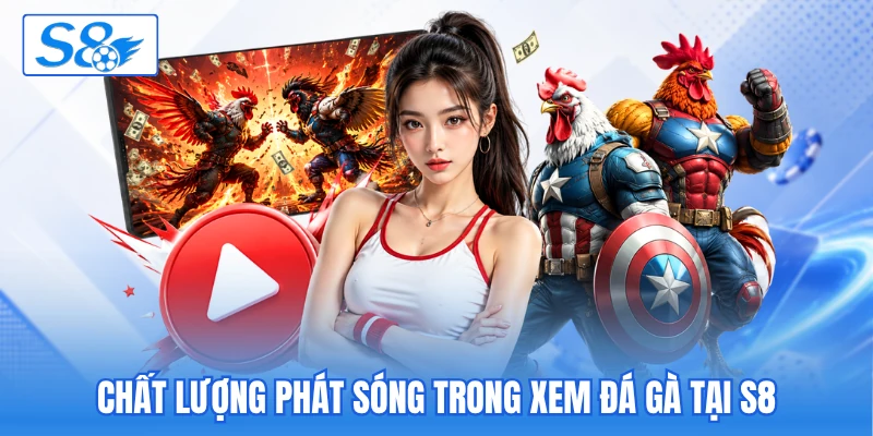 Xem đá gà tại S8 trực tuyến phát sóng trận đấu kịch tính - hesiju