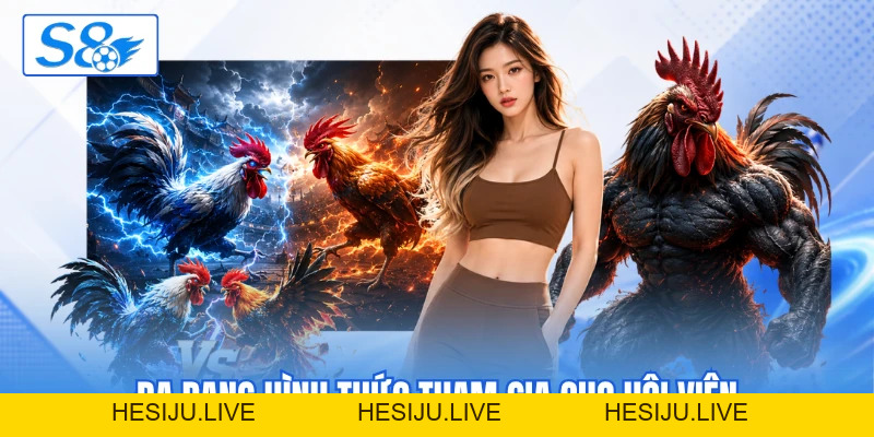 Đá Gà S8 - Khám Phá Tính Năng Phát Sóng Trực Tiếp Mượt - hesiju