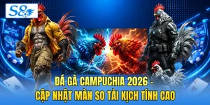 Đá Gà S8 - Khám Phá Tính Năng Phát Sóng Trực Tiếp Mượt - hesiju