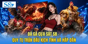 Đá Gà S8 - Khám Phá Tính Năng Phát Sóng Trực Tiếp Mượt - hesiju