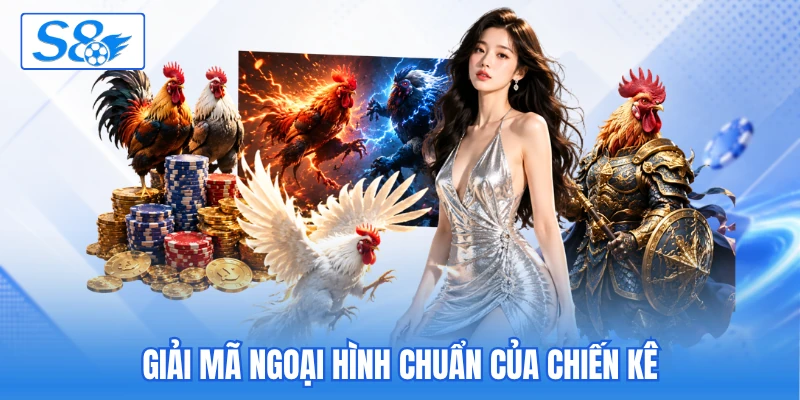 Cách Chọn Gà Chọi Vip Dựa Theo 9 Tiêu Chuẩn Quan Trọng - hesiju Cách Chọn Gà Chọi Vip Dựa Theo 9 Tiêu Chuẩn Quan Trọng - hesiju