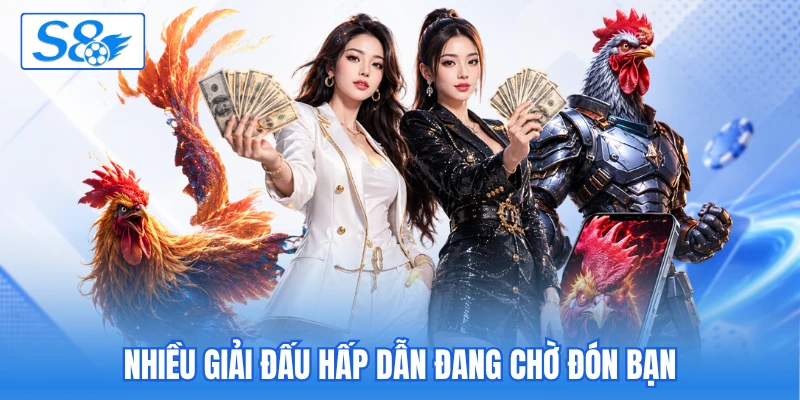 Xem đá gà tại S8 trực tuyến phát sóng trận đấu kịch tính - hesiju