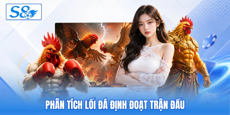 Cách Chọn Gà Chọi Vip Dựa Theo 9 Tiêu Chuẩn Quan Trọng - hesiju Cách Chọn Gà Chọi Vip Dựa Theo 9 Tiêu Chuẩn Quan Trọng - hesiju