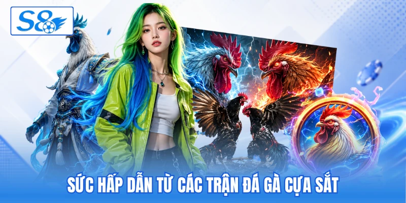 Đá Gà Cựa Sắt S8 - Quy Tụ Trận Đấu Kịch Tính Và Hấp Dẫn - hesiju