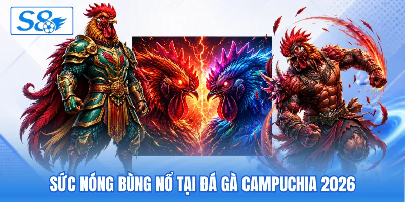 Đá Gà Campuchia 2026 - Cập Nhật Màn So Tài Kịch Tính Cao - hesiju