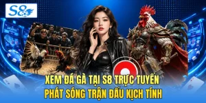 Đá Gà S8 - Khám Phá Tính Năng Phát Sóng Trực Tiếp Mượt - hesiju