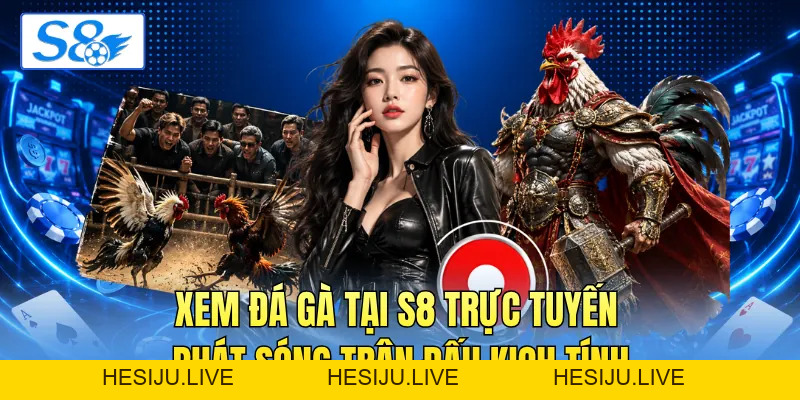 Xem đá gà tại S8 trực tuyến phát sóng trận đấu kịch tính - hesiju